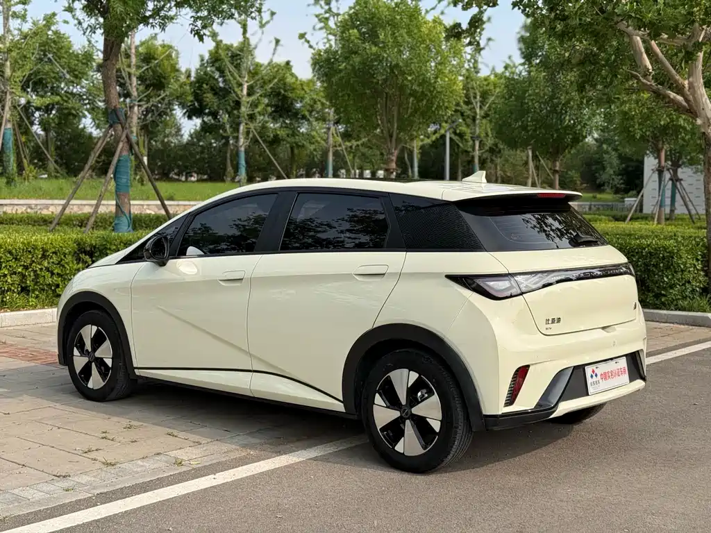 BYD Dolphin 2023 — фото 18