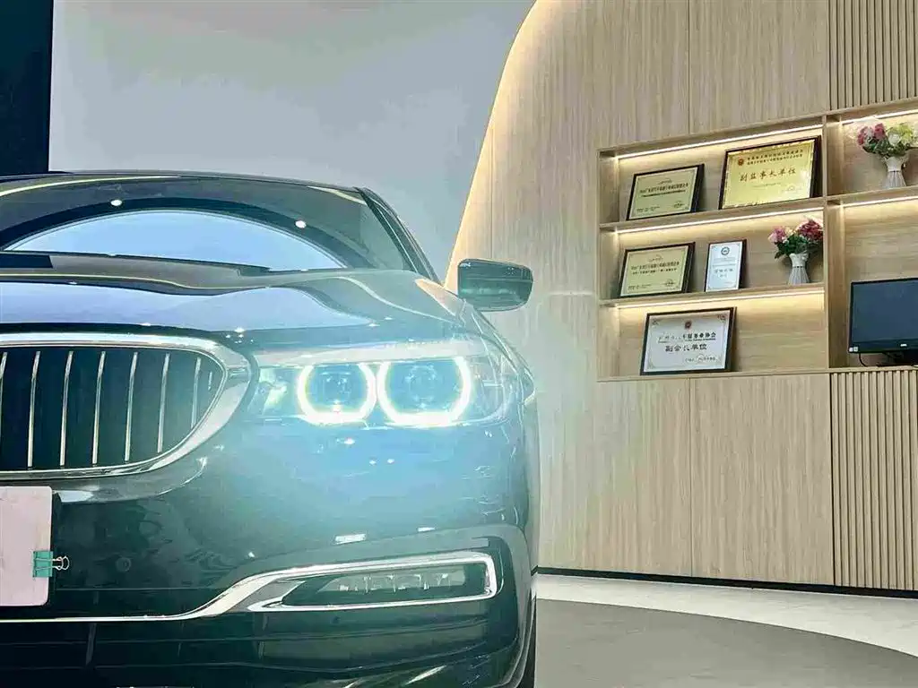 BMW 5 Series 2019 — фото 9