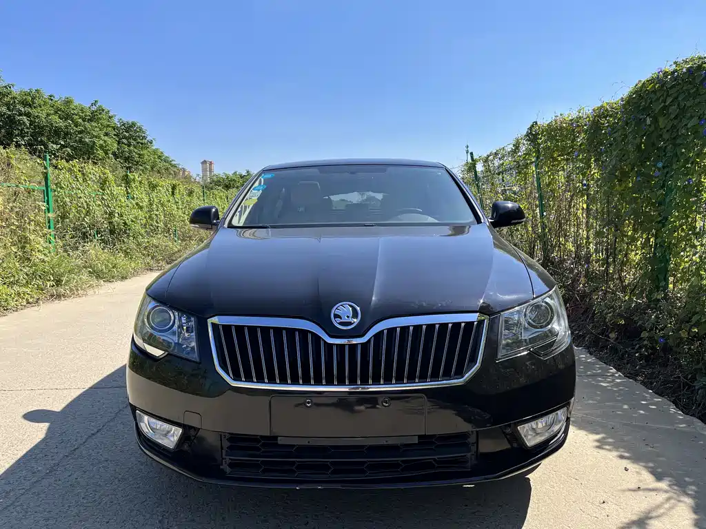 Skoda Speedy 2015