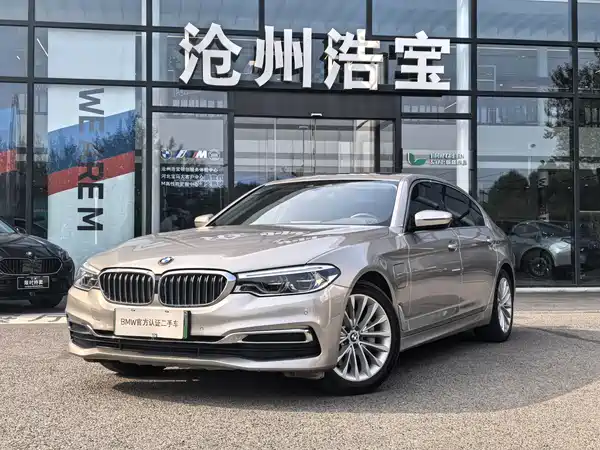 BMW 5 Series New Energy 2020