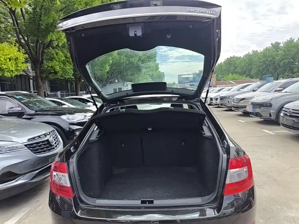 Skoda Octavia 2015 — фото 19