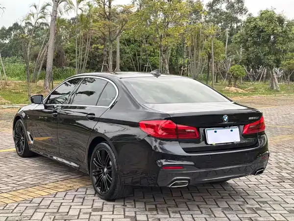 BMW 5 Series 2020