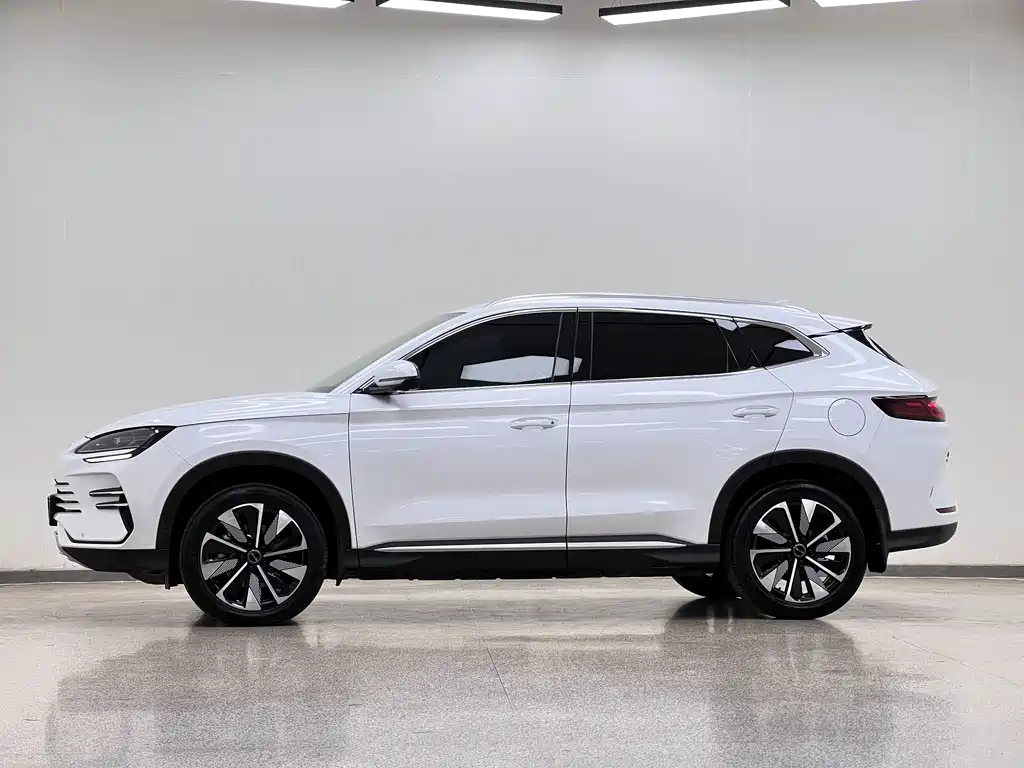 BYD PLUS New Energy 2024 — фото 4