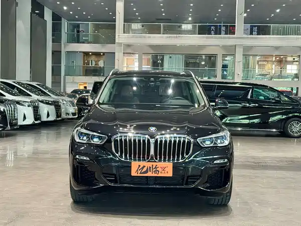BMW X5 2021