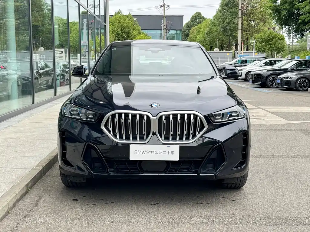 BMW X6 2024