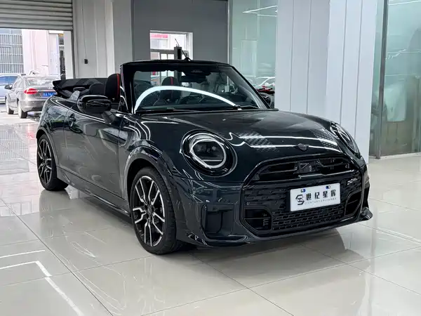 MINI MINI 2025