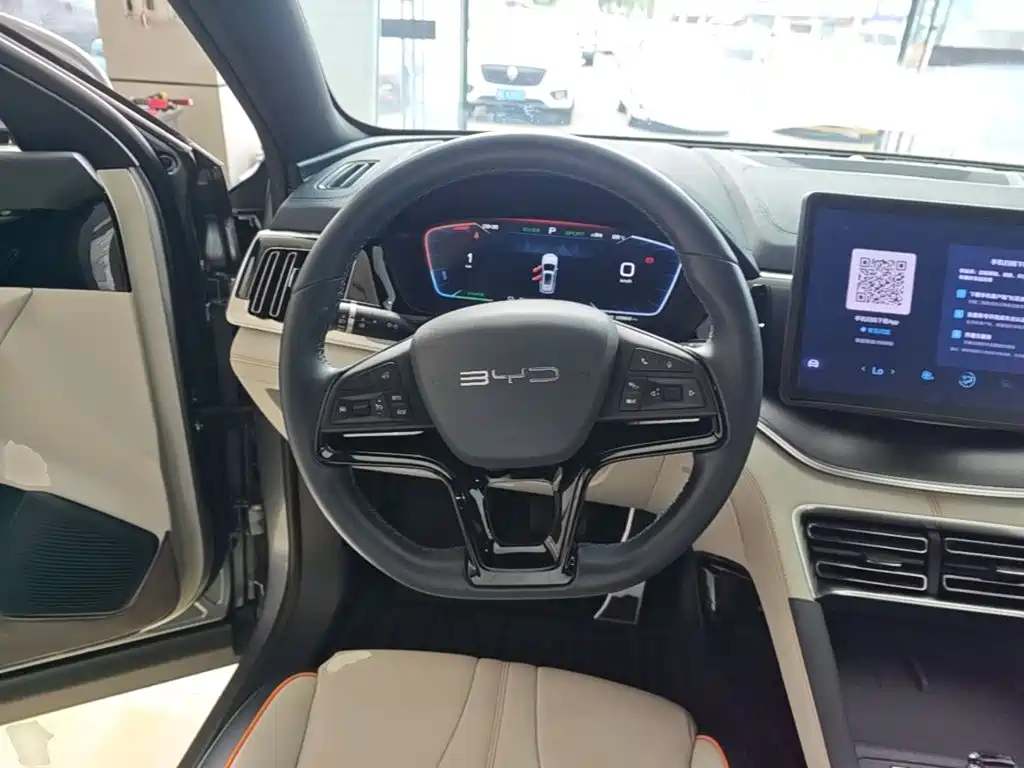 BYD Song PLUS New Energy 2024 — фото 11