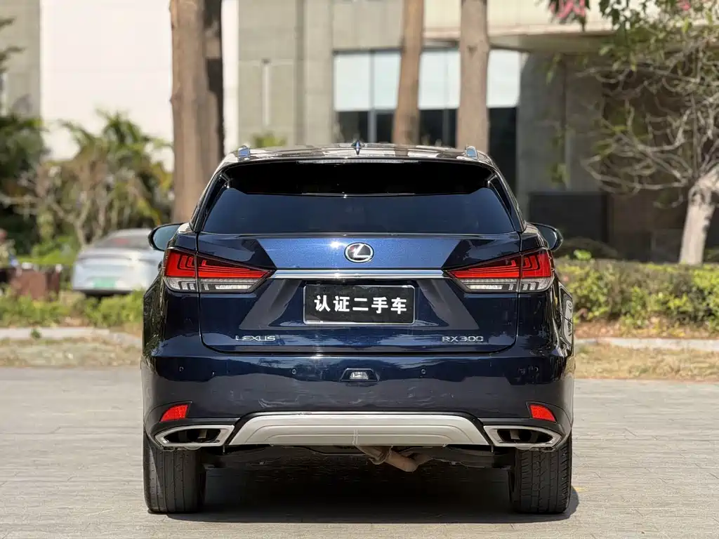 Lexus RX 2020 — фото 20