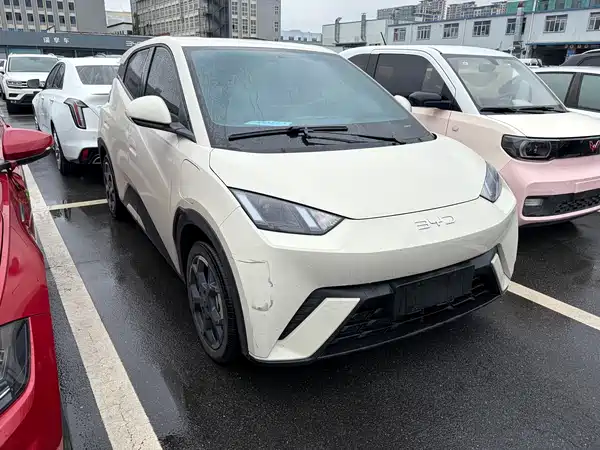 BYD Seagull 2024