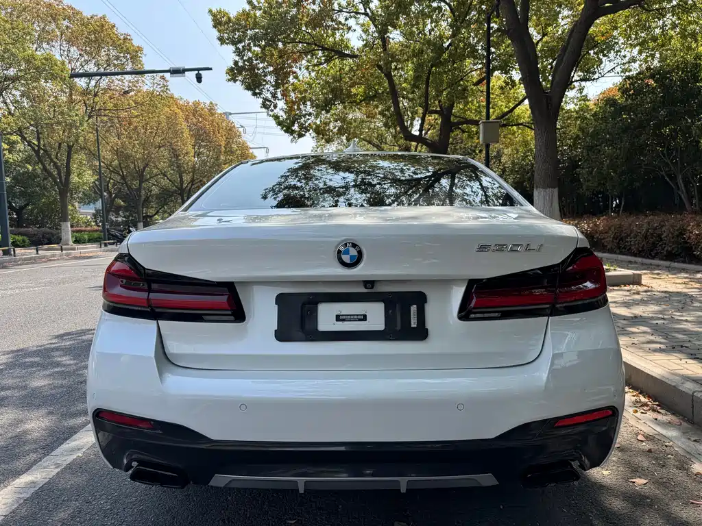 BMW 5 Series 2019 — фото 4