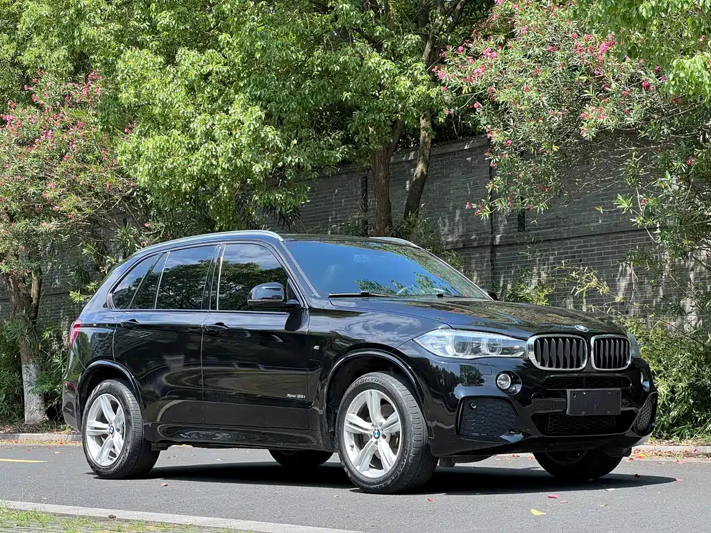 BMW X5 2017 — фото 3