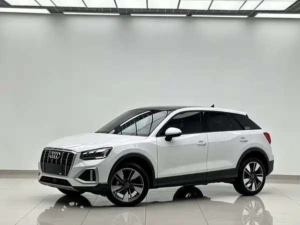 Audi Q2L 2022