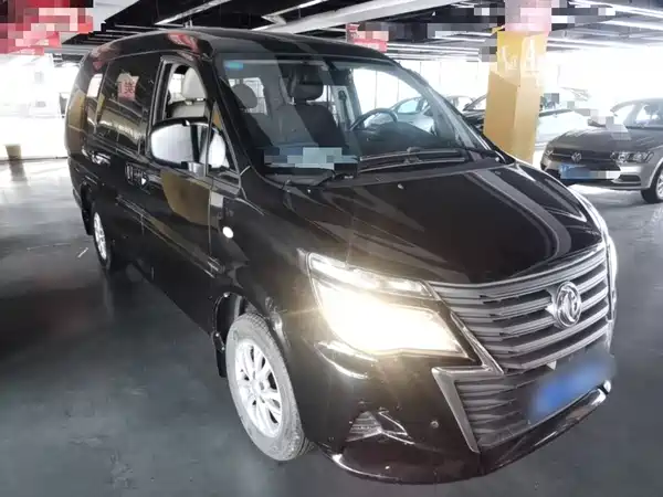 Dongfeng Lingzhi 2020