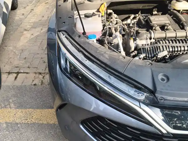 BYD Qin L 2024
