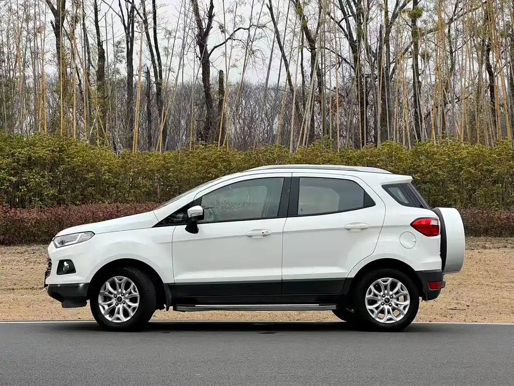 Ford Ecosport 2014 — фото 5