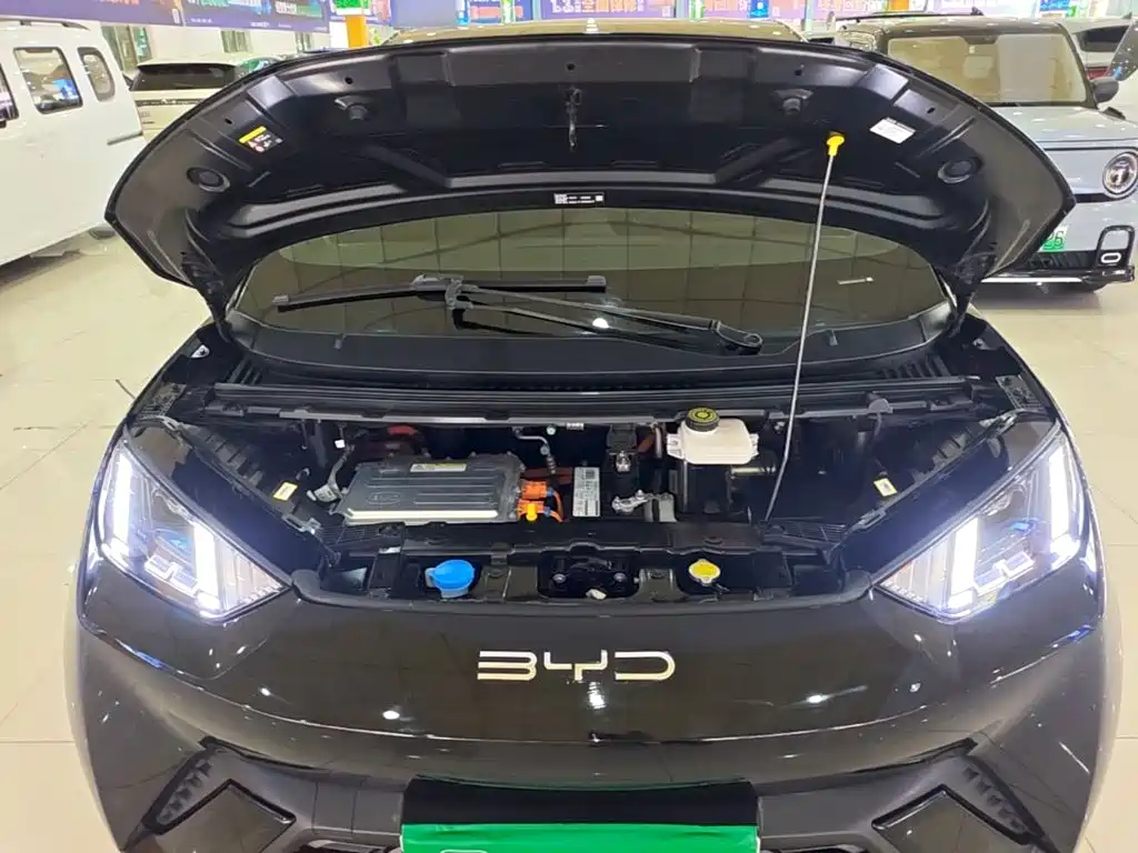 BYD Seagull 2023 — фото 20