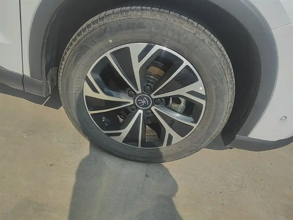 BYD Pro New Energy 2025 — фото 14