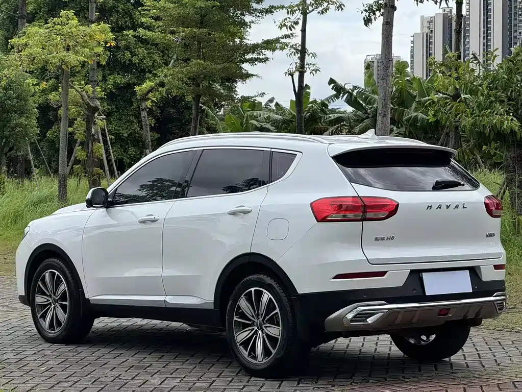 Haval H6 2021 — фото 7