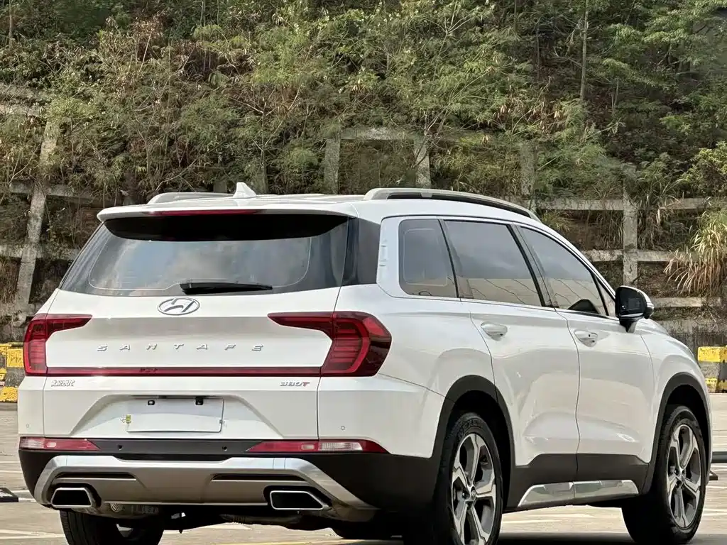 Hyundai Santa Fe 2020 — фото 14