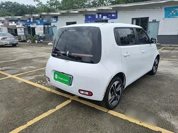 Ora White Cat 2021