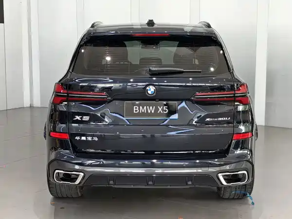 BMW X5 2024