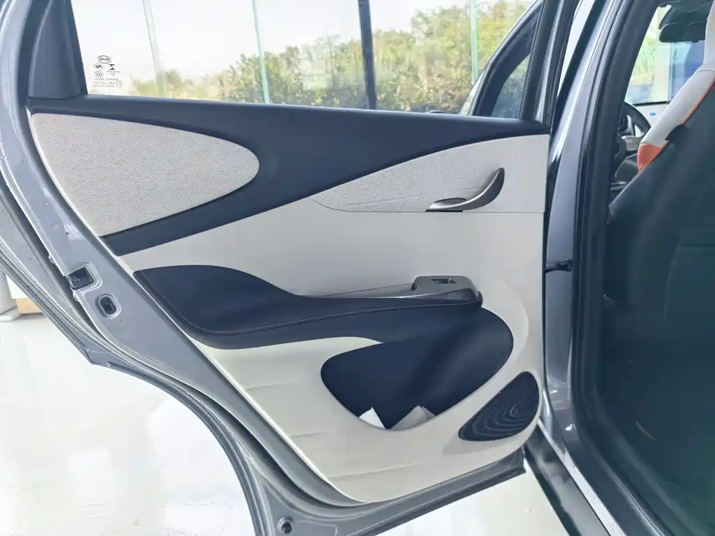 BYD Dolphin 2022