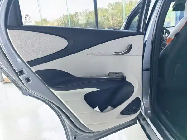 BYD Dolphin 2022