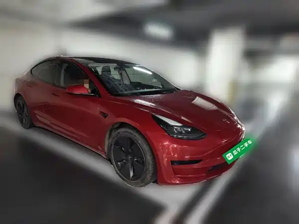 Tesla Model 3 2021