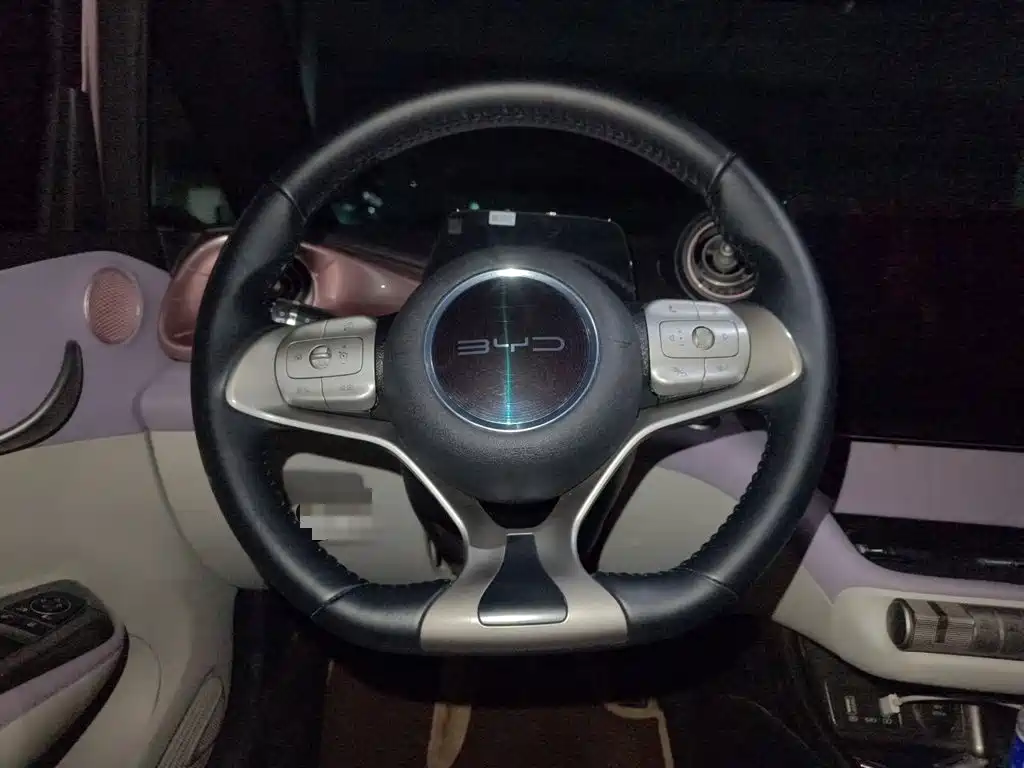 BYD Dolphin 2023 — фото 11