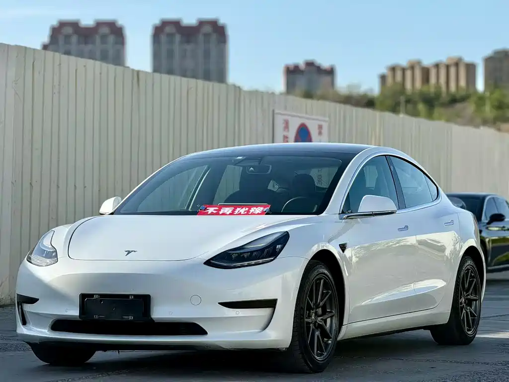 Tesla Model 3 2020 — фото 1