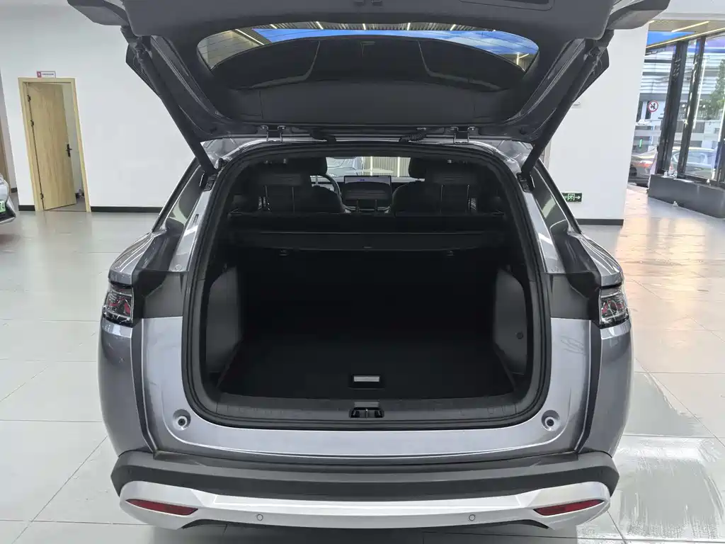 BYD L DM-i 2025 — фото 8