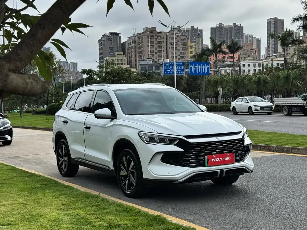 BYD Pro New Energy 2024 — фото 2