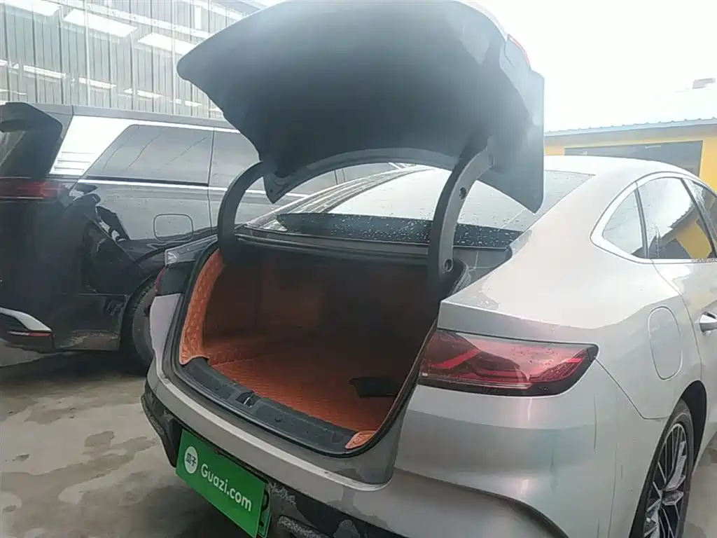 BYD Qin L 2024 — фото 19