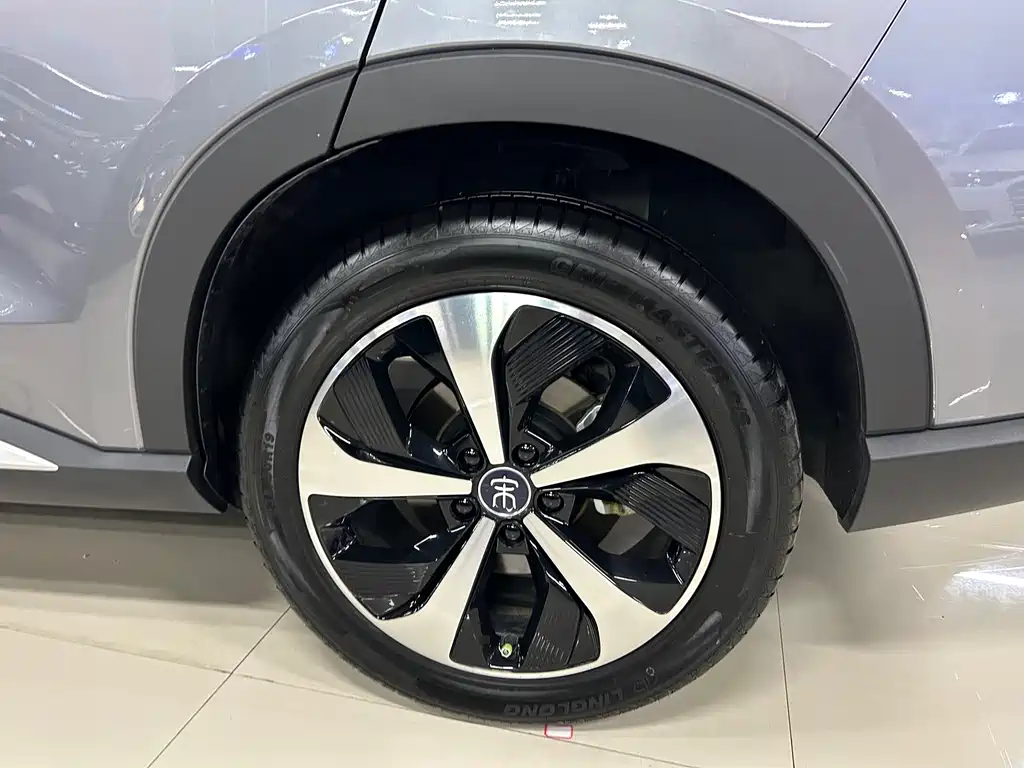 BYD PLUS New Energy 2023 — фото 21