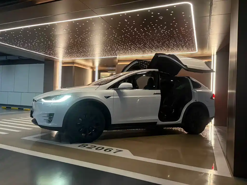 Tesla Model X 2017 — фото 5