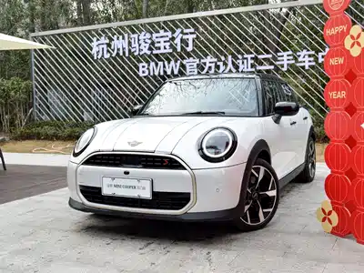 MINI MINI 2025