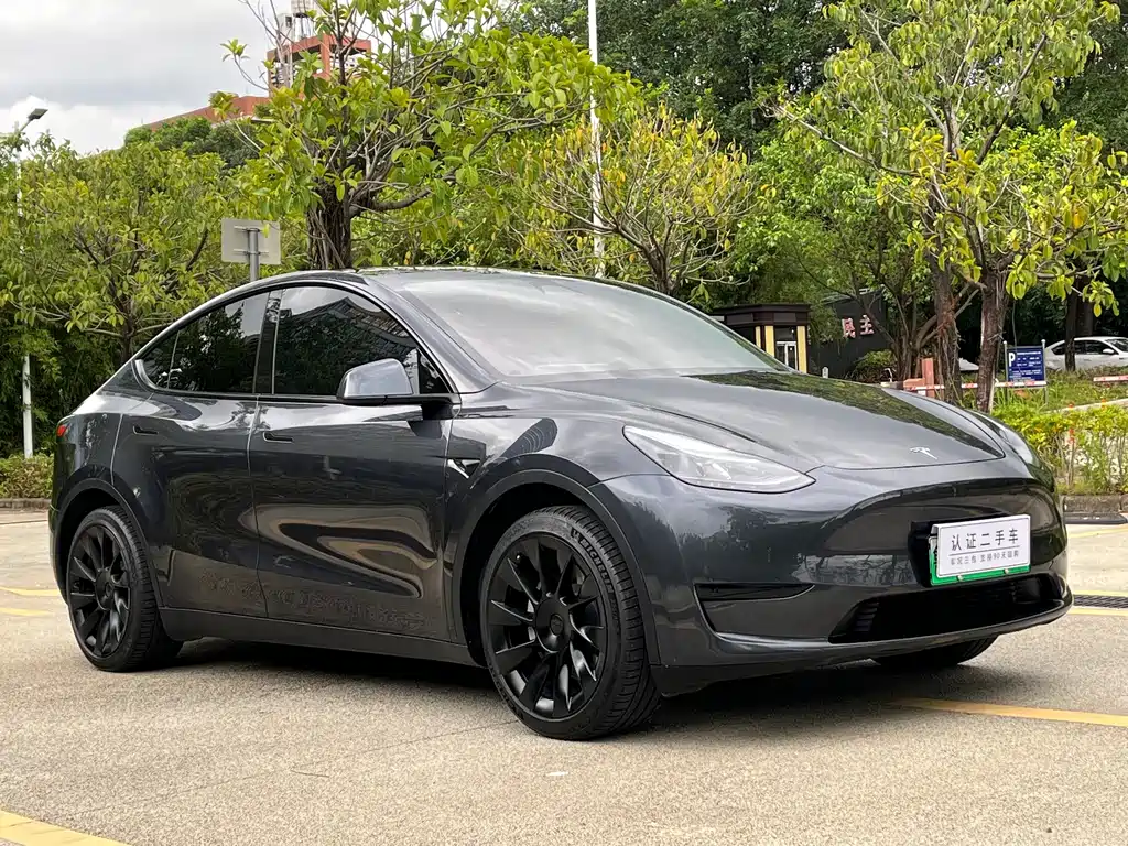 Tesla Model Y 2024 — фото 3
