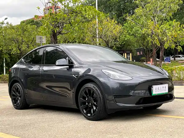 Tesla Model Y 2024