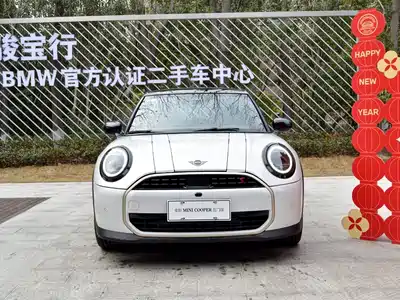MINI MINI 2025
