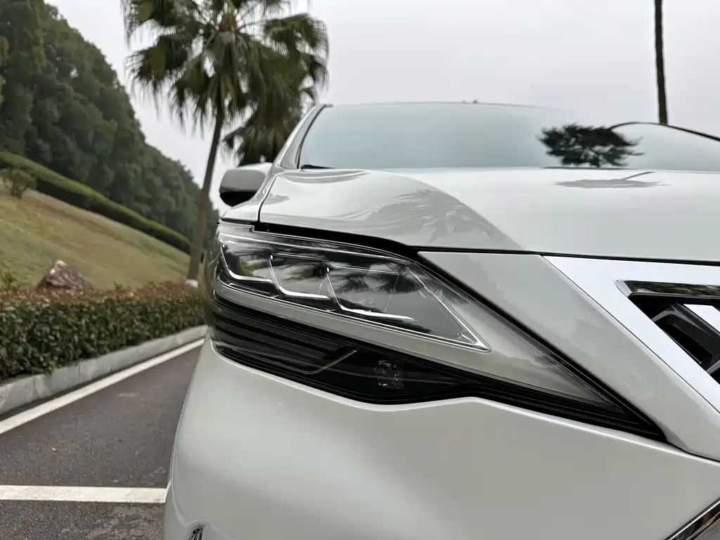 Lexus LM 2020 — фото 25