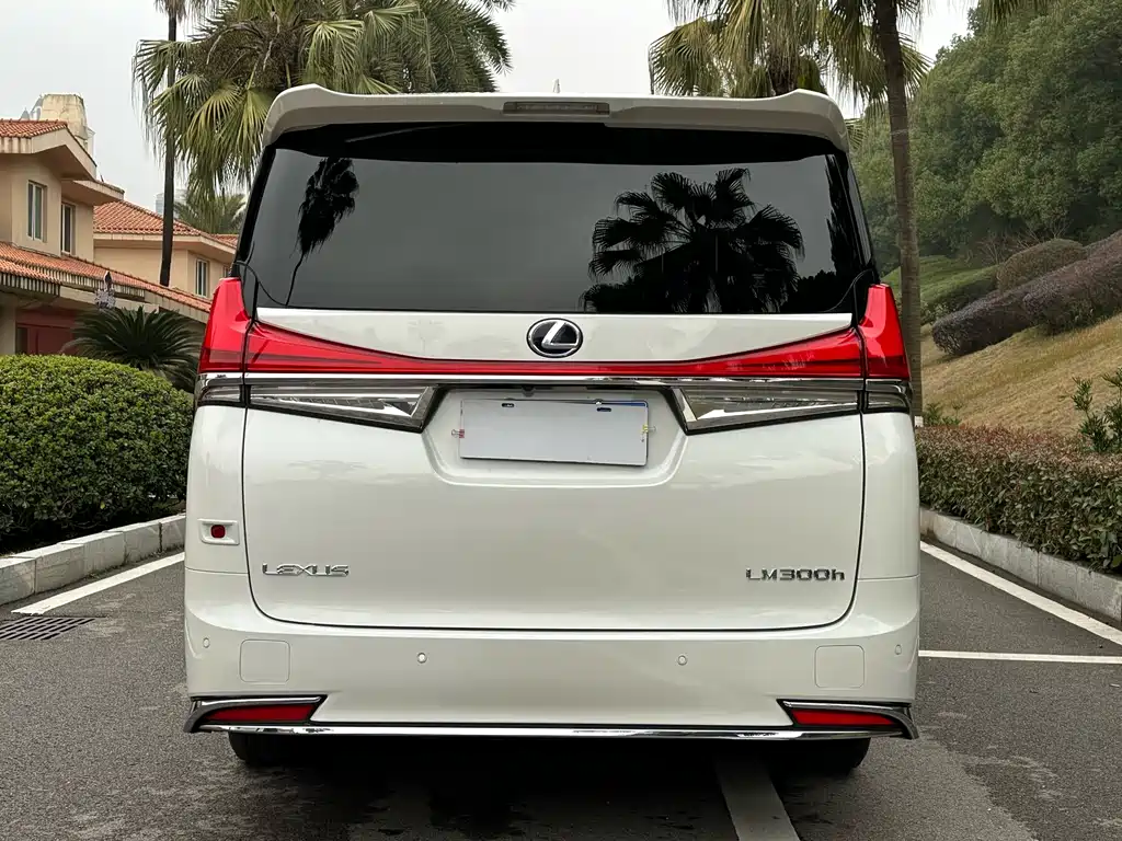 Lexus LM 2020 — фото 21
