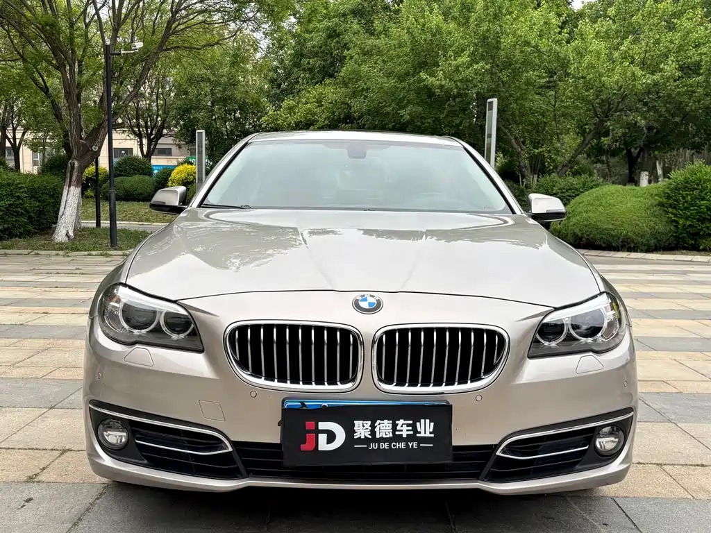 BMW 5 Series 2014 — фото 2