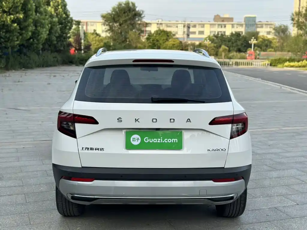 Skoda Karoq 2020 — фото 10