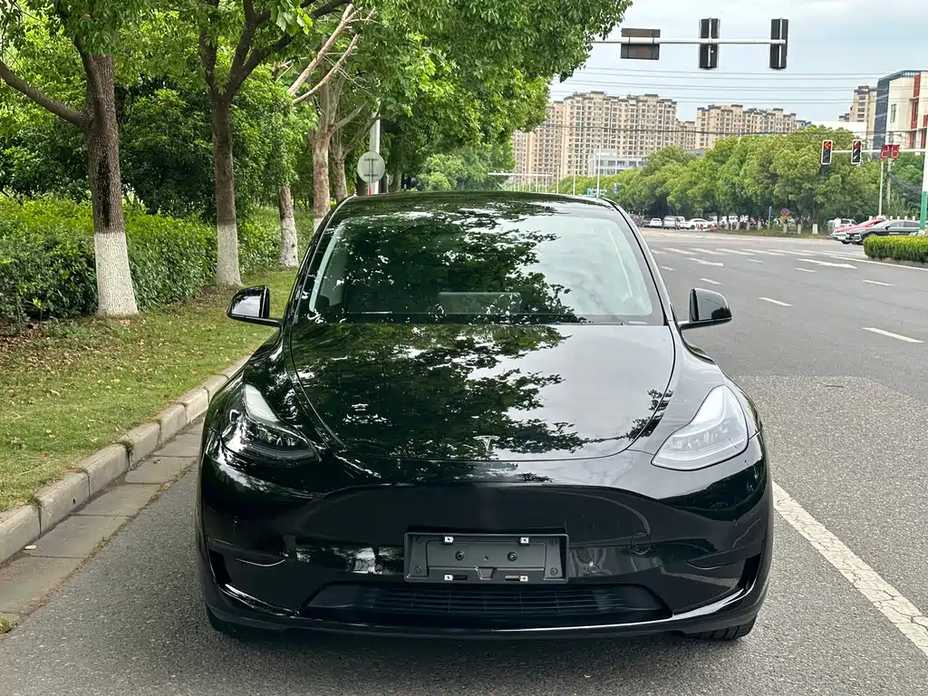 Tesla Model Y 2023 — фото 2