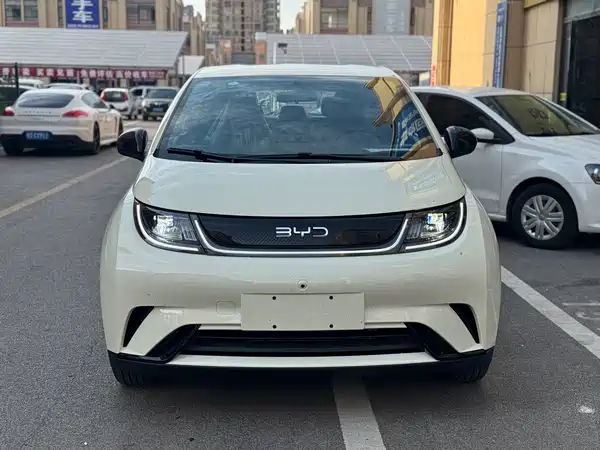 BYD Dolphin 2026