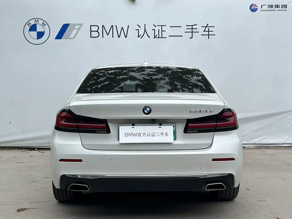 BMW 5 Series New Energy 2021