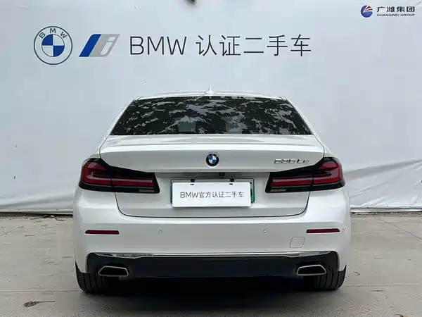 BMW 5 Series New Energy 2021