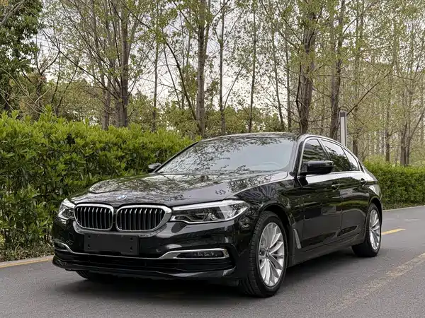 BMW 5 Series New Energy 2019