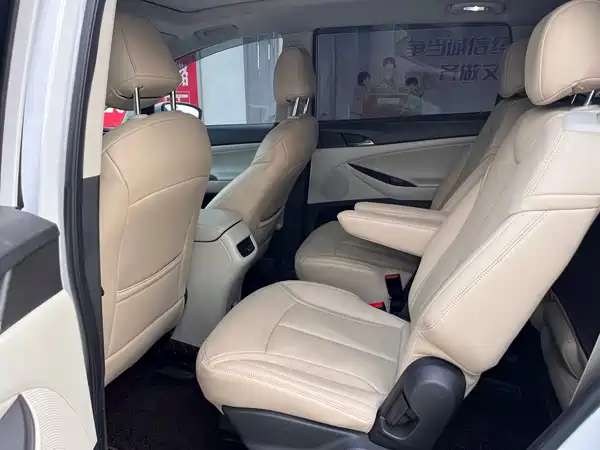Buick GL6 2019