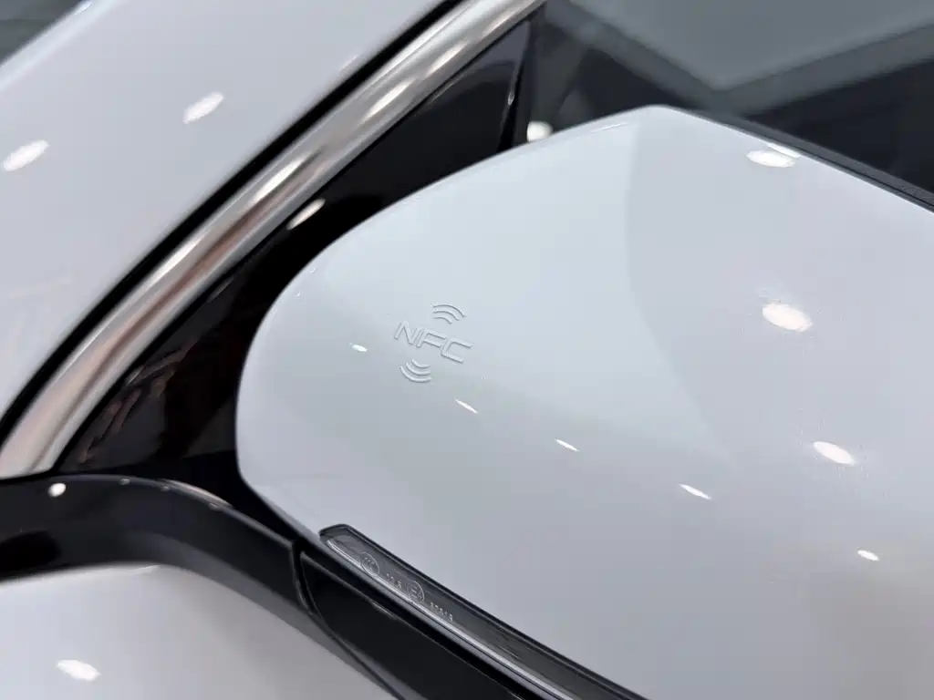 BYD Sealion 05 DM-i 2025 — фото 21